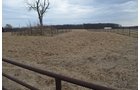 Property photo 46 - REAL ESTATE & FARM EQUIPMENT AUCTION IN ALLEN COUNTY, INDIANA